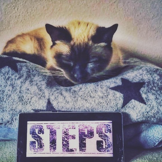 Ascoltando "STEPS" anche l animale domestico più agitato trova la sua tranquillità "STEPS, PER ANIMALI IRREQUIETI"
@studio2recording @fleischufficiostampa @blackcandyrecords #scarrymonsterbooking
<a href="/Believe_Italy/">Believe_Italia</a> @studio2padova <a href="/FLEISCHAgency/">FLEISCH</a> 
#steps #rock #folk #ballad #newalbu