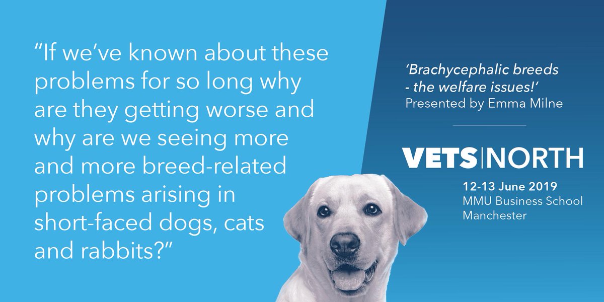 VetsNorth's tweet photo. Don't miss @emmamilnethevet presenting on 'Brachycephalic breeds - the welfare issues!' at #VetsNorth next month 

View the full programme and book your ticket today! 
👉 https://t.co/kXyqnwiX1L 👈

#VetCPD #RVNs #vetnurses #whatVNsdo #planetrvn #Bredtobreathe #pug #animalwelfare https://t.co/3mO2nc16UJ