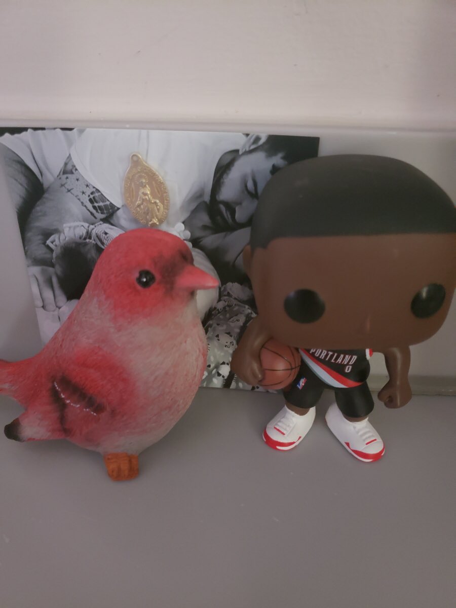 angelakuehn's tweet image. @Dame_Lillard @trailblazers My brother in law was so excited- he had just ordered your figurine for his collection shortly before his horrible ejection accident and is now fighting for his life. It’s bed side, and I’m praying he wakes up to see it someday 😰🙏