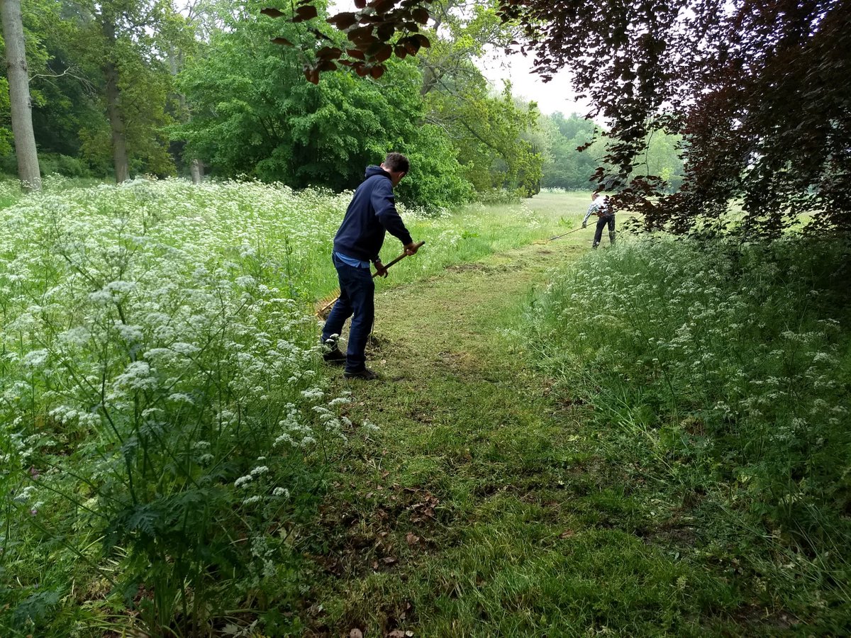 BoswachterKees's tweet photo. Het zogenaamde Sinusbeheer in de praktijk op de Overplaats. Gevarieerd (minimaal) maaien met behoud van veel bloeiende planten. Goed voor vlinders, bijen én recreanten 🙂 @landschapnh @vlinderNL https://t.co/ZZi0kfYGVt