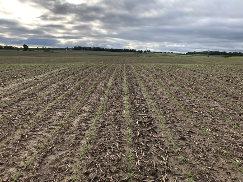 PRLFSPrecisionB's tweet photo. Cool morning performance check. Swath check, turn comp check, steering check. With Agleader InCommand 1200, SteerCommand, and SureDrive. @PrairielandFS @AgLeaderTech #AgLeaderPlant19 https://t.co/SpoFSchlhA