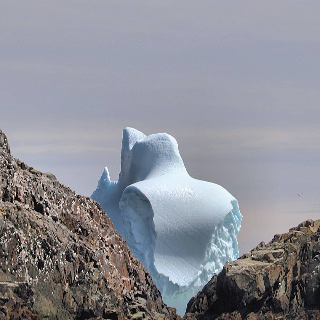 GrayMarker99's tweet photo. I call this iceberg, "The Lurker."
It's pretty sneaky trying to lurk behind that piece of land. Best iceberg season in Bonavista in years! #bonavista #iceberg #nature #ShareYourWeather https://t.co/b5ld3h7iui