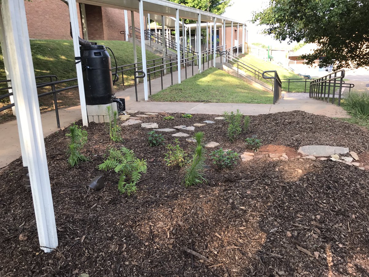 Asheville Preschool tweet media