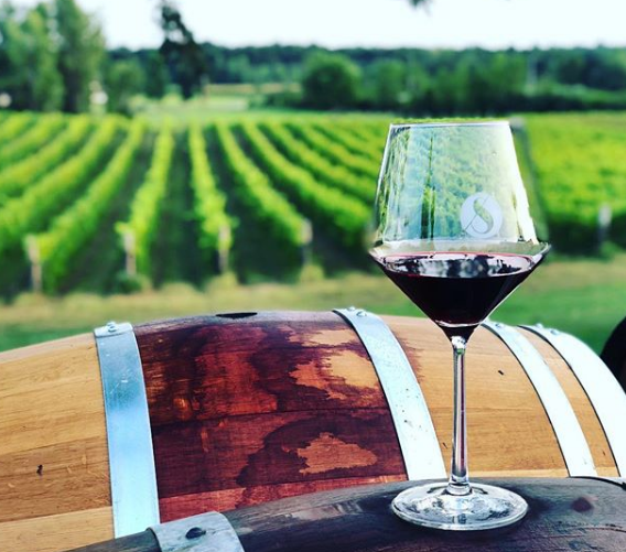 Sunset Delight
Offers cottage simplicity &amp; convenience of a short walk to the charming village of Westport.   An even shorter walk, leads to the Scheuermann Vineyard and Winery.
rideaulakescottages.com/en/1487124/sun… …
We'd would like to start it's renting journey by offering $100 off.