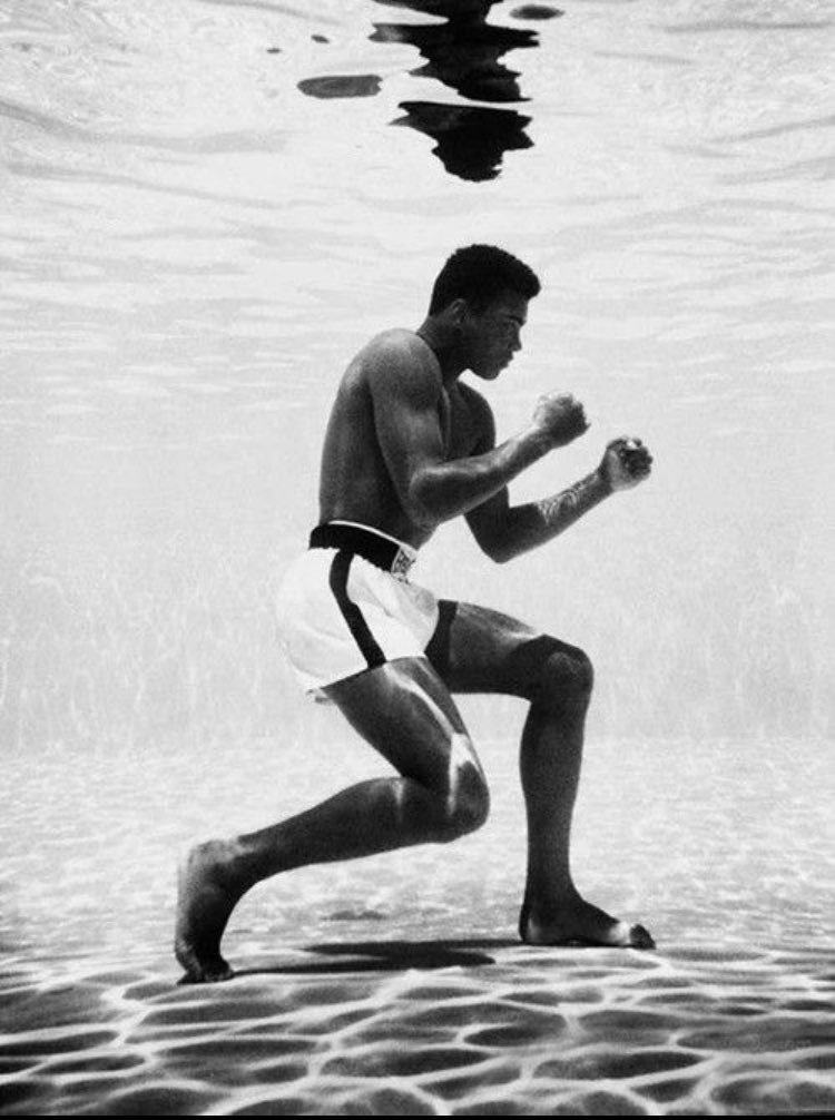 RingFitBoxing's tweet photo. “Don’t count the days, make the days count.” - Muhammad Ali
https://t.co/UTkBfmifre

#MondayMotivation #boxing #ringfit #boxingandfitness #torontoboxing #boxingontario #ringfitboxingandfitness
#realrecognizereal #realboxingrealfitness 
#knockoutpunch #sparring #getfit #training https://t.co/s3bVlbsOPU