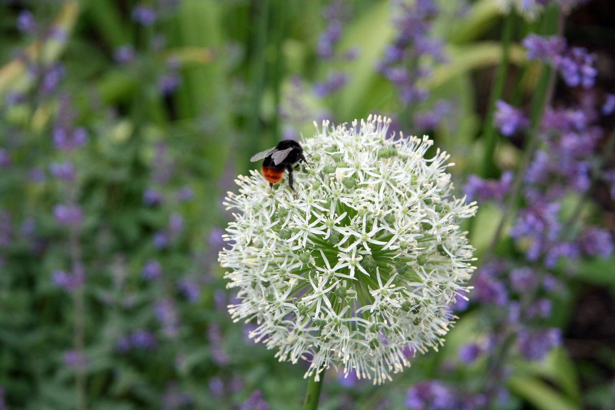 EH Smith Sustainable tweet media