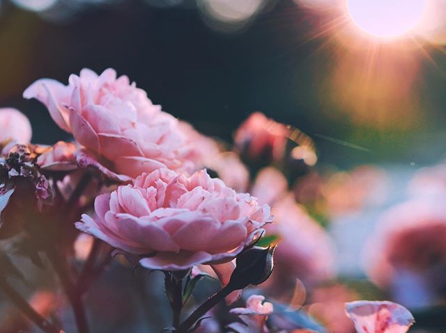 theaaronburden's tweet image. My Health || Psalm 43:5 ⁣
Mextures Formula • PKWAIYZ⁣
#Mextures⁣
#formula_sharing_is_caring