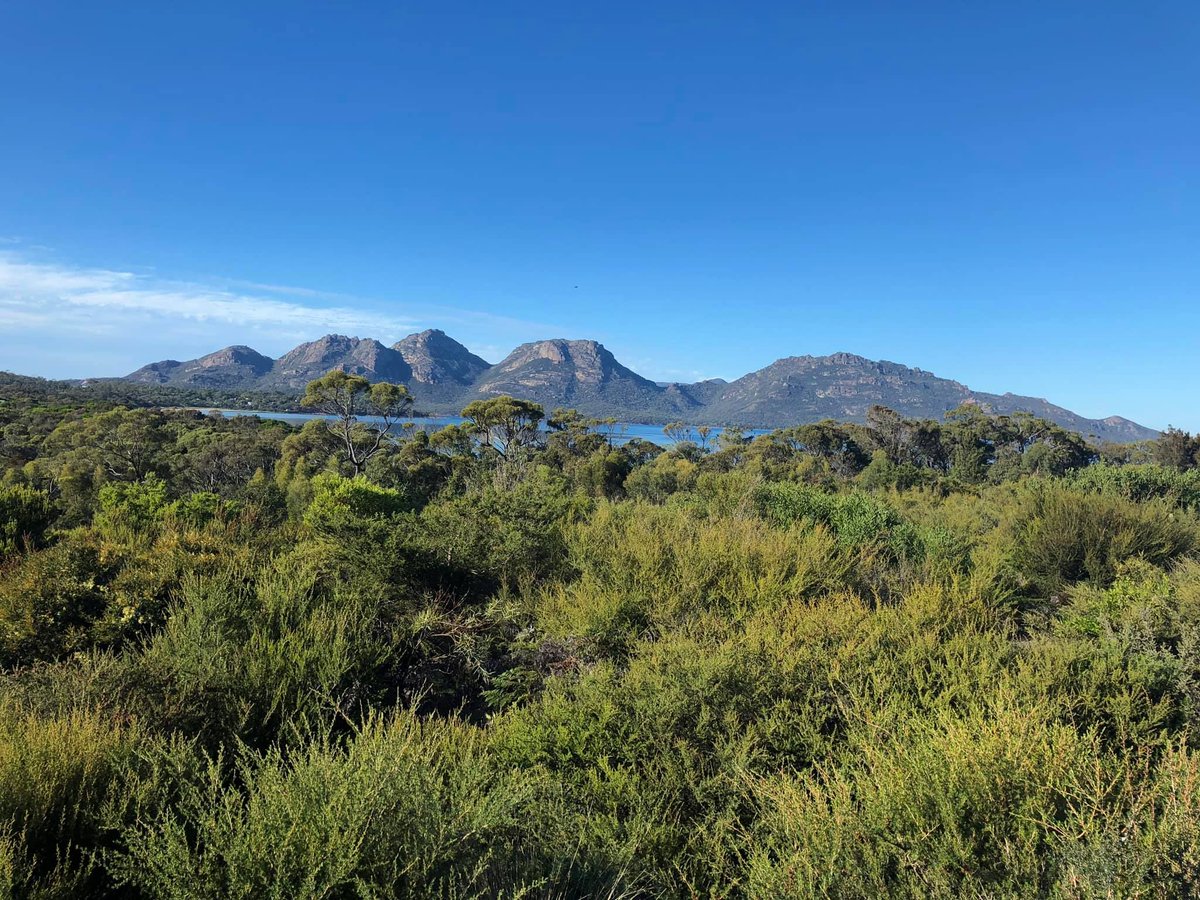 McCabeWorldTvl's tweet photo. Damian had the pleasure of visiting Saffire Freycinet in Australia! https://t.co/MKSUPZbVQm