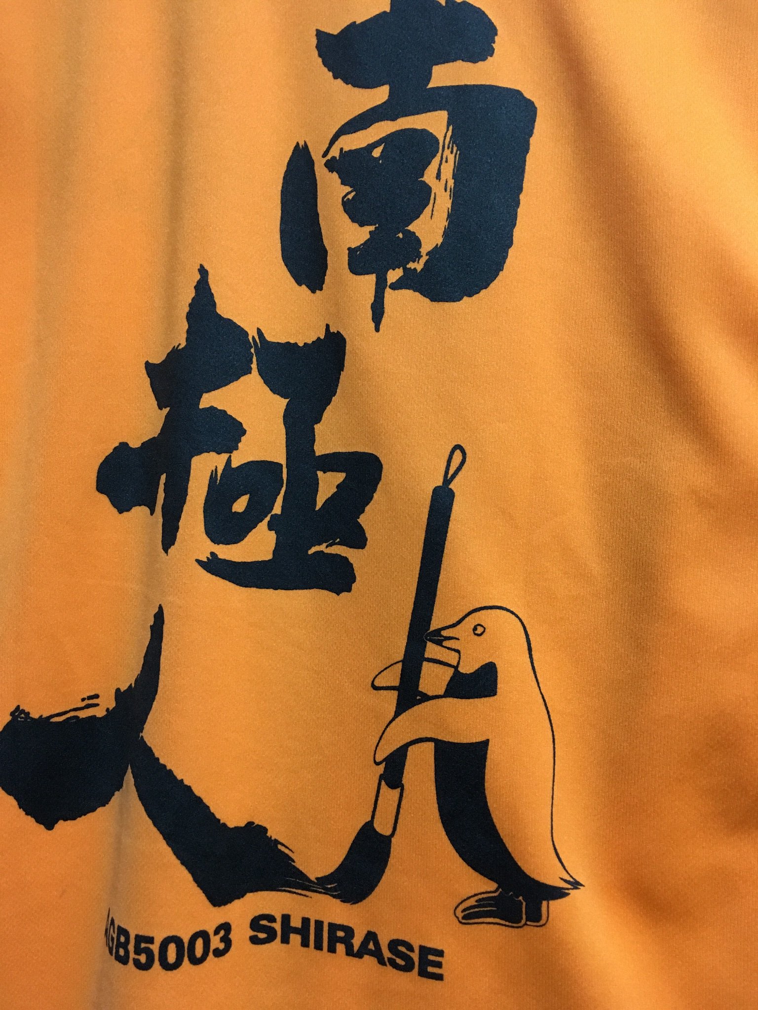 ふじのん そう言えば海遊館 アデリーさんのイラストがアレだった 他のペンギンイラストや南極ｔシャツのアデリーさんはカワイかったのに T Co Skq3oeclwz Twitter