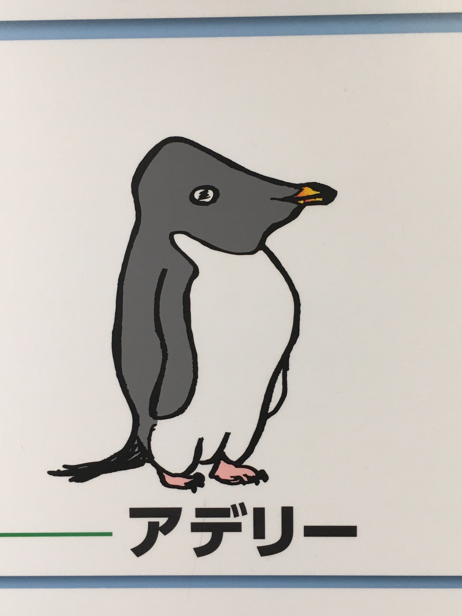 ふじのん Pa Twitter そう言えば海遊館 アデリーさんのイラストがアレだった 他のペンギンイラストや南極ｔシャツのアデリーさんはカワイかったのに T Co Skq3oeclwz Twitter