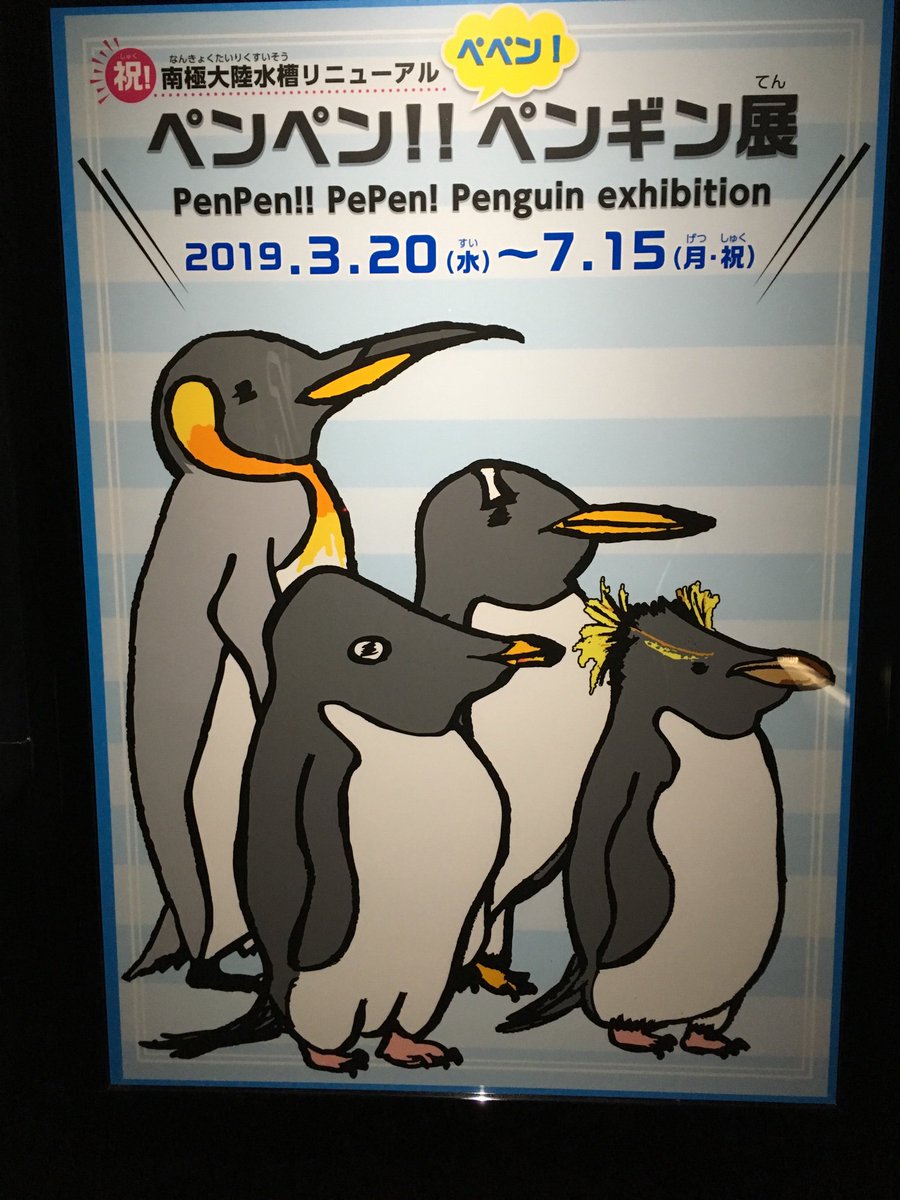 ふじのん Pa Twitter そう言えば海遊館 アデリーさんのイラストがアレだった 他のペンギンイラストや南極ｔシャツのアデリーさんはカワイかったのに