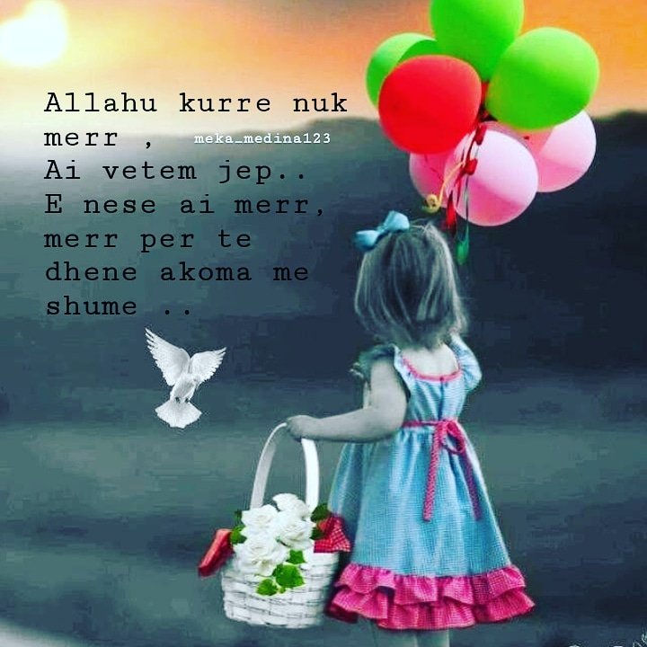 deni08474556's tweet photo. https://t.co/gmpPIUfERU