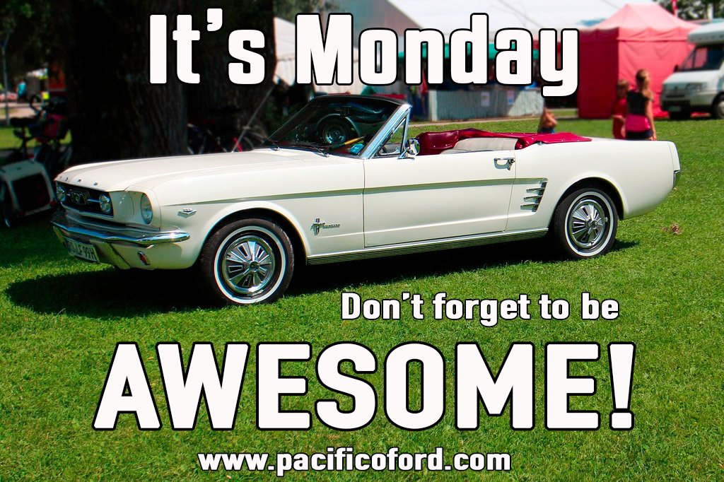 Pacifico_Ford's tweet photo. Look at the brightside... At least Monday's only happens once a week! 👍 https://t.co/Nb4j6mc7gY