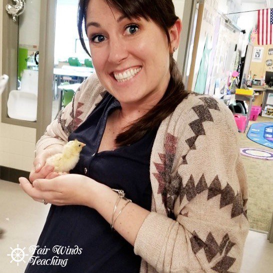 FairWindsTeach's tweet photo. We have a baby chick! Excited to get to work to see if we have more!! 🤞🏻 #lifecycle #science #chick #teachersfollowteachers #edchat #edchattech #teachersofinstagram #teacher #teacherlife #teacherlifeofig #igteachers #iteachtoo #teacherspayteachers #TPT #… https://t.co/xCVxTHEKKS https://t.co/Dbnij4u4wB