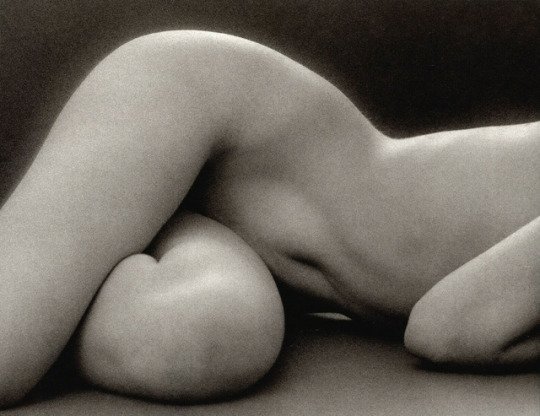 Intornoai50's tweet photo. Ruth Bernhard, Untitled, 1975
#MondayNap https://t.co/KrPf6DSyGg