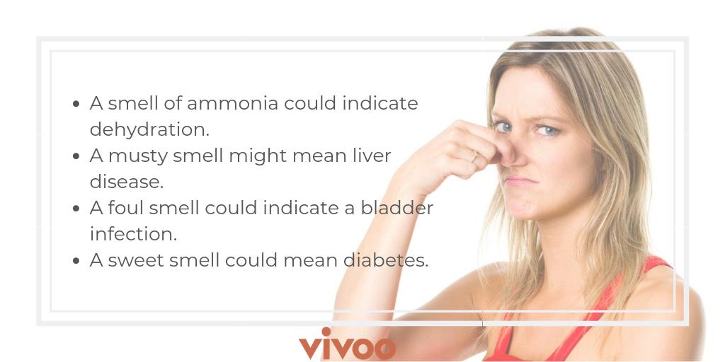 VivooApp's tweet photo. Pee that smells isn't always a bad thing.😁
Sometimes it's just the foods we eat, including asparagus, alcohol, coffee, and garlic. But, if your urine smells like any of the following you should take note:
#PeeFacts #VivooApp #HealthTech #DigitalHealth #Wellness #MondayMorning https://t.co/v2XNMUoGA0