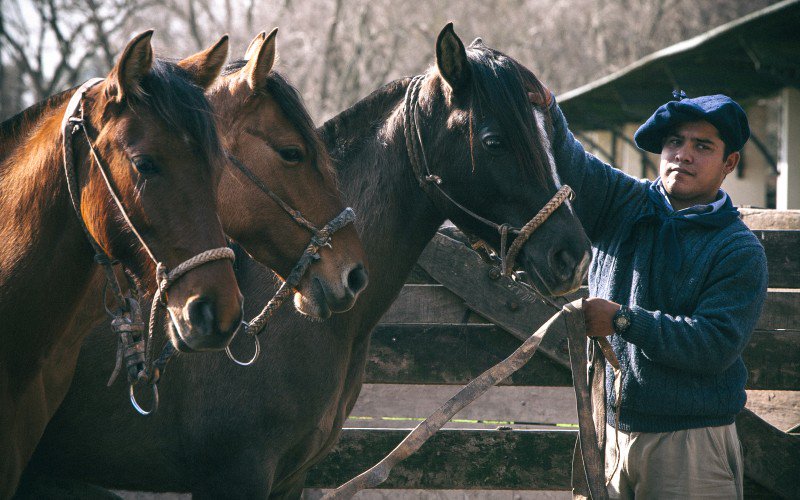 apriledaniel's tweet photo. Equinos: la pasión que hizo de Argentina un país referente https://t.co/dAKSbpmdcW #Caballos @Ser457 https://t.co/B569oxhFbC