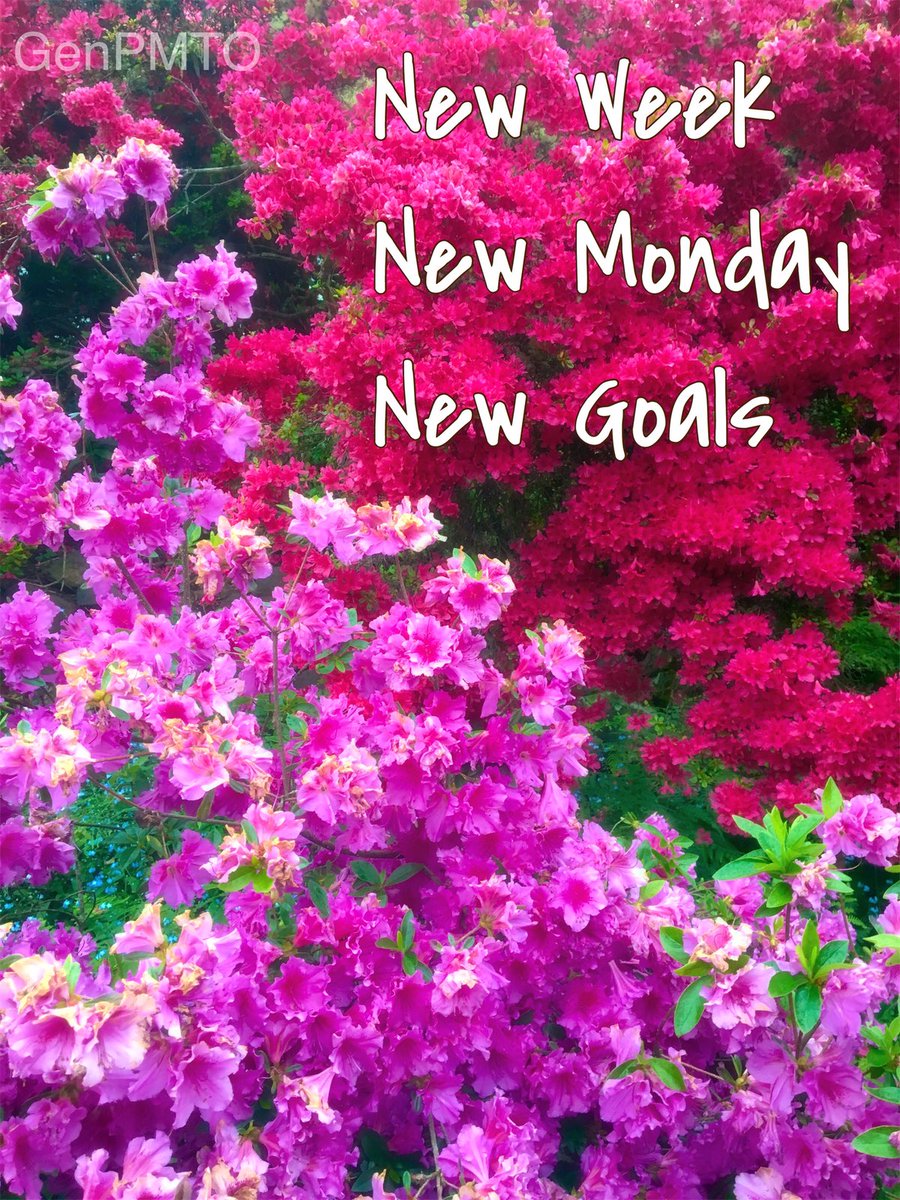 GenerationPMTO tweet media