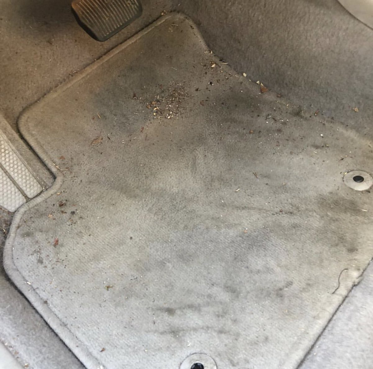TheChuckWatson's tweet photo. If youโre in Winston Salem or the triad area Iโm doing mobile car washing and detailing. Prices as low as $20 based on service. Inbox for details. https://t.co/F3gMvDsWlz