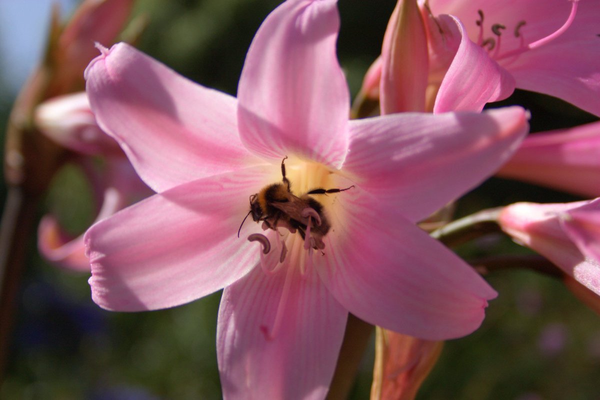 EH Smith Sustainable tweet media