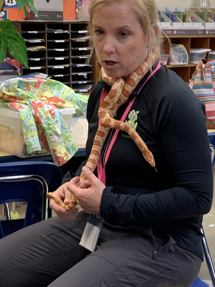 Angie Solita tweet media