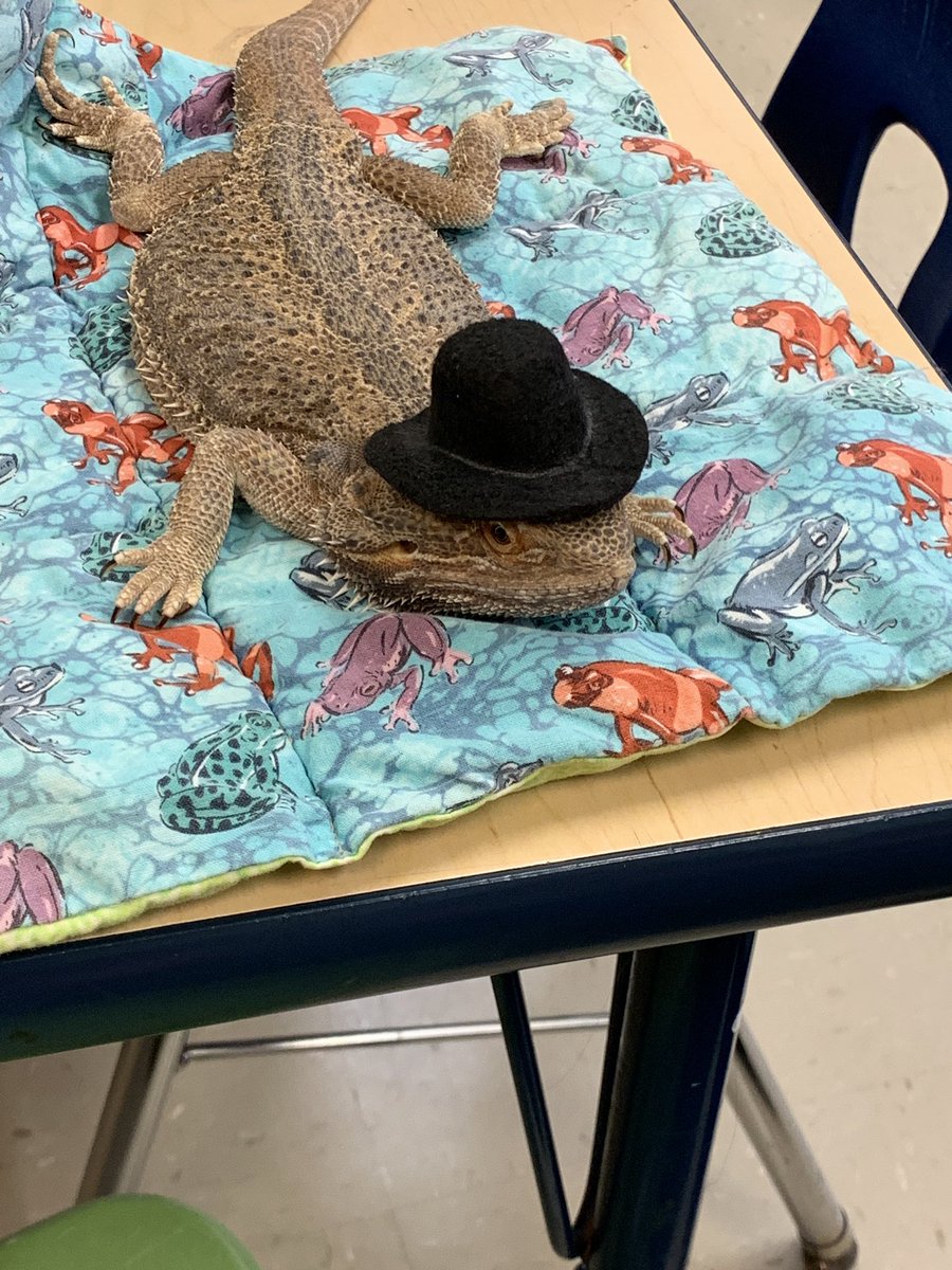 Angie Solita tweet media