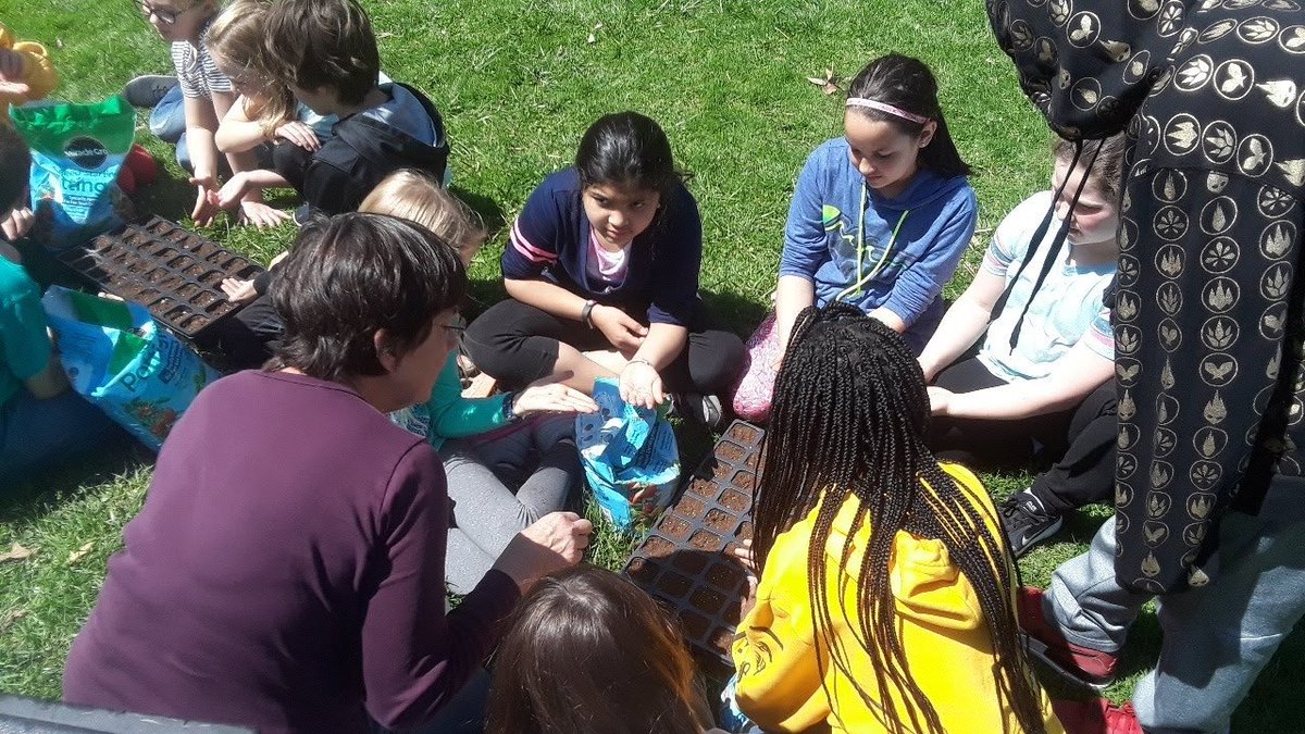 fieldedventures's tweet photo. Students creating a new #schoolgarden through @fieldcorps! @MMSDCrestwood 4th graders designed the garden themselves and chose native species to plant. Now they are out in the sun taking soil samples, planting seeds and clearing ground for their garden! #outdoorclassroom https://t.co/i5d4zQ3Un1
