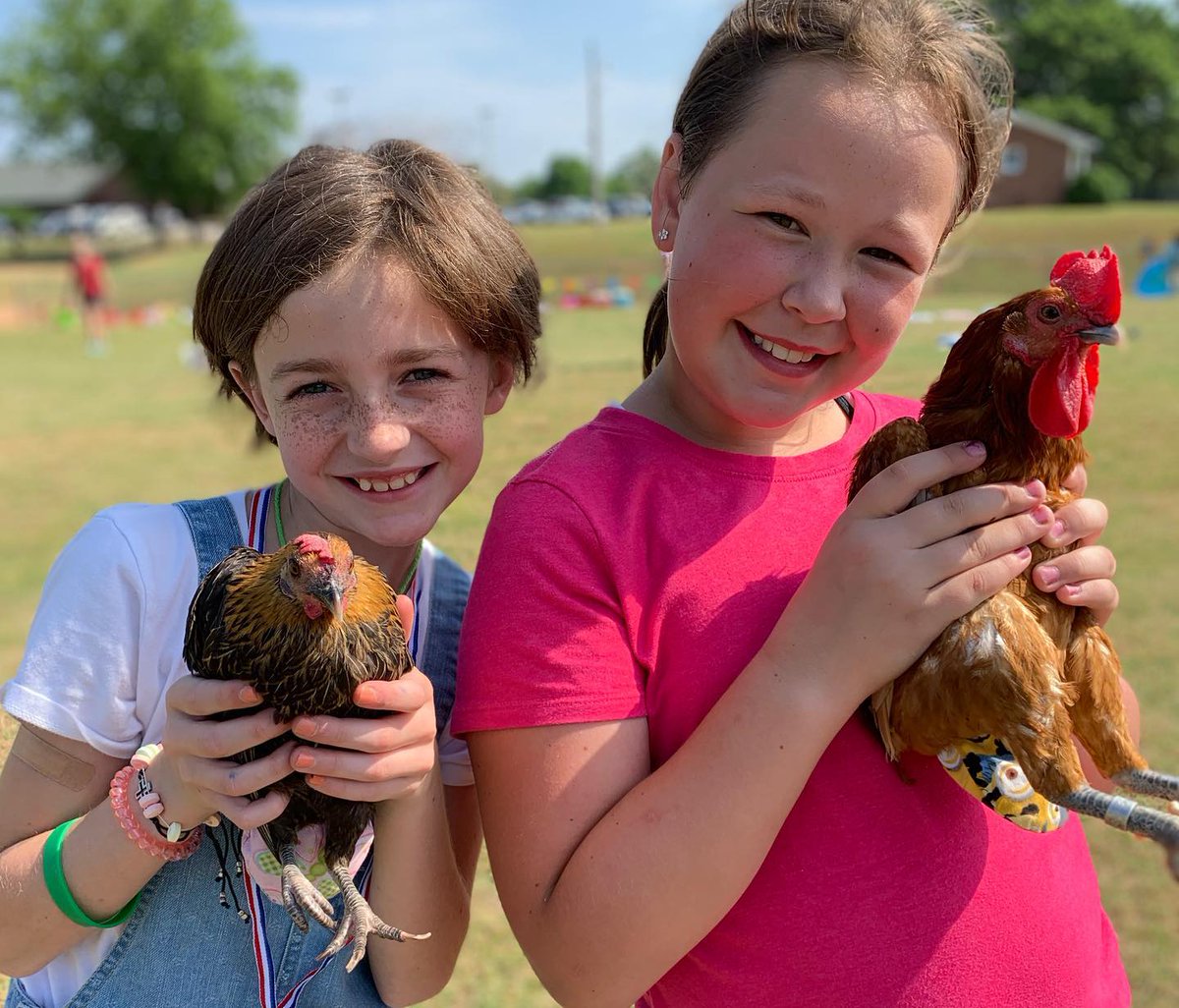 The Academy At Shannon Forest tweet media