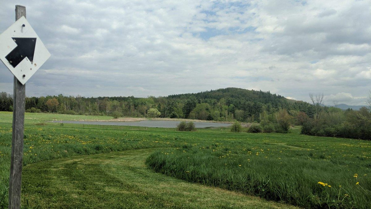 This week's races will be held on the new black on white course on the Goose Hill side! We expect long lines and congested traffic for the first races; plan your time accordingly by coming early or by purchasing a race series membership in advance! squareup.com/store/catamoun…