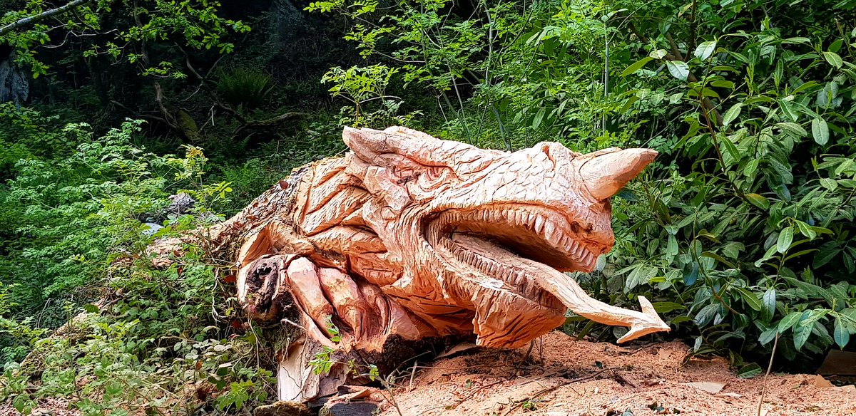ScratCath23's tweet photo. I am absolutely blown away by this man's skill, craftsmanship and incredible vision!  @treecarving has transformed my rotten fallen Ash tree into a most magnificent dragon! Just amazing.. THANK YOU! 😍 https://t.co/bn5lVrOFDp