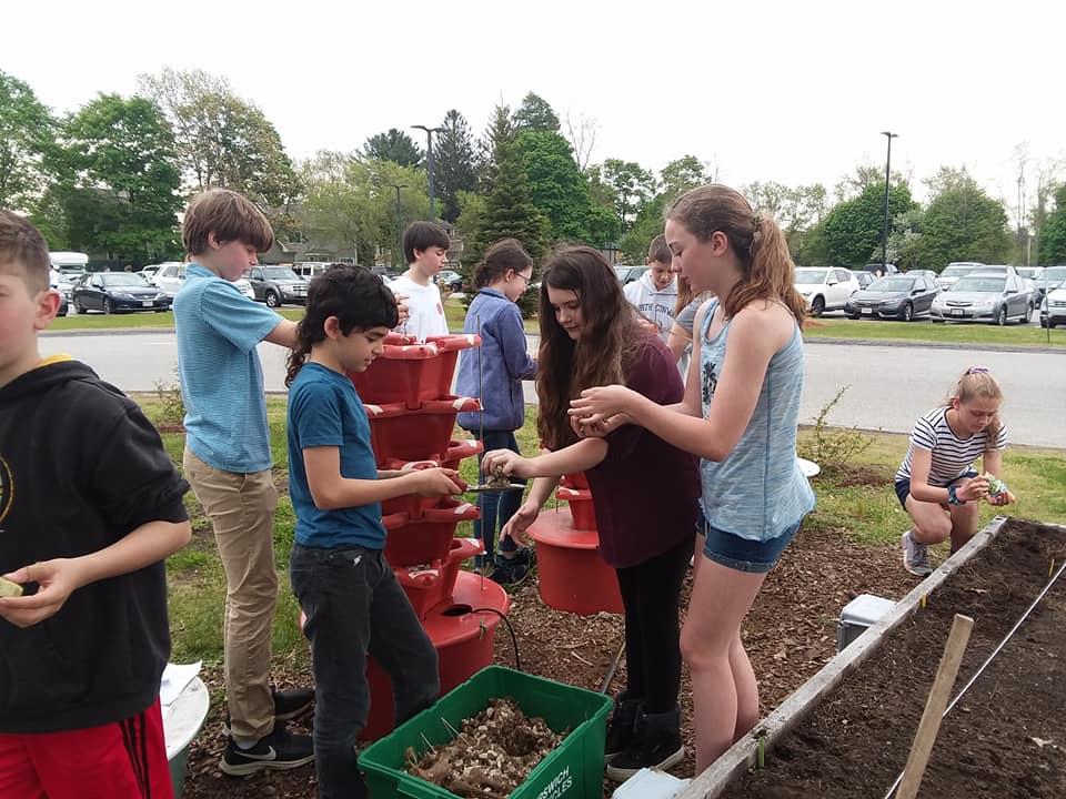 ColbyIMS's tweet image. IMS sixth graders planting our raised bed gardens and solar powered hydroponic towers.  Students will benefit from the food they grow as well as the local food pantry.  @PBLWorks @NSTA @revisionsolar @SenechalSci124 @Changeissimple1 #IMSSTEAM
