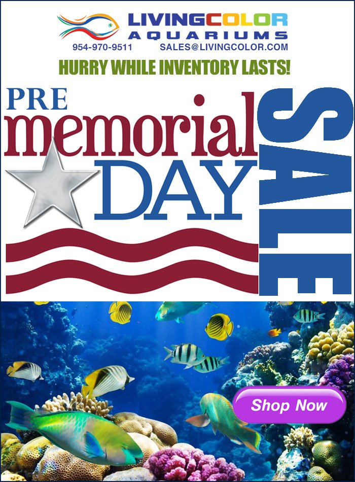 reef memorial day sale