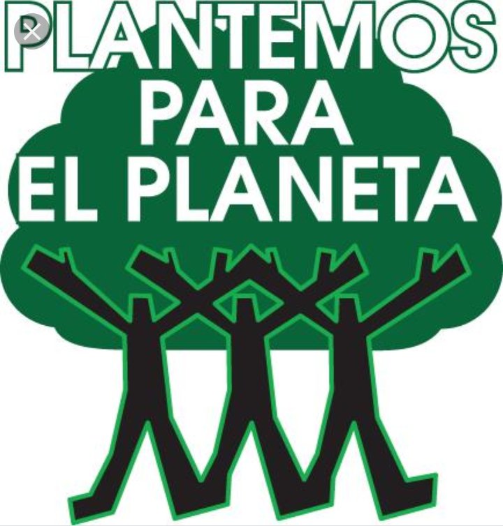Pilitoress8's tweet photo. Campaña mundial Plantemos p/el Planeta, organizada x las Naciones Unidas p/el Medio Ambiente, luchar contra el cambio climático y sensibilizar a la sociedad sobre el medio ambiente, invitando a participar de forma activa en la plantación de árboles #EduTecnoTuc2019 #BarriodeMu https://t.co/9OzihMriYo