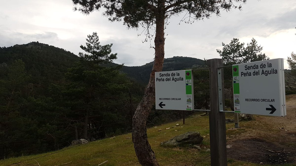 ⛰Hoy toca subida a la Peña del Águila en bici, acompañados por Fulgencio Miralles "Chencho". Un placer contar con su apoyo y conocer sus grandes idea para promocionar la actividad bici turística en nuestro municipio. 🚴‍♂️ #VamosElEspinar 🍊 #VamosCiudadanos #MensSanaInCorporeSano