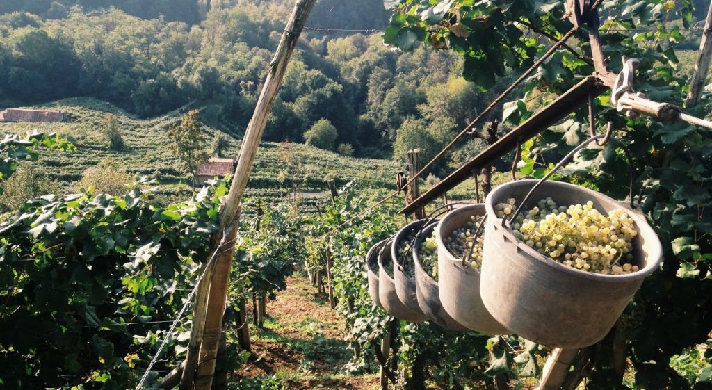 Hotel Rest. Valuas tweet media