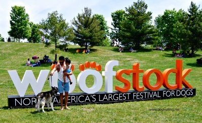PawsitiveSco's tweet photo. Hey Guys! Wanted to let y'all know we will be attending the @woofstock event! It will be on May 25, 10AM- 6PM & May 26, 10AM- 5PM. So come on by and check out our products irl!
#dogsofTO #pupsoftoronto #mydogrunthe6ix #dailyfluff #Torontopooches #torontobarks #Torontodoglovers https://t.co/HfIBv6n0dR
