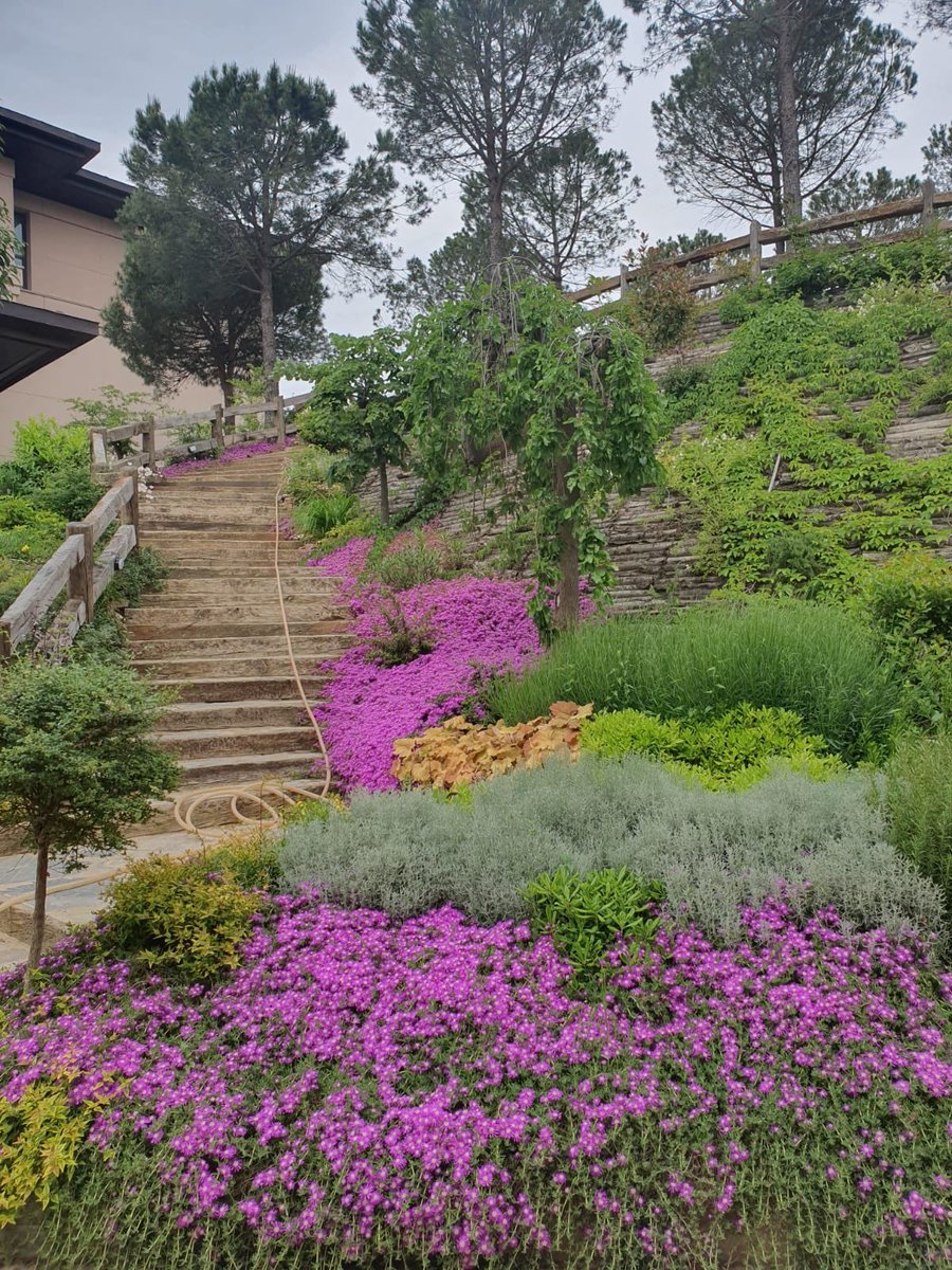 <a href="/ArcelikIoTLabs/">Arçelik IoT Labs</a> şimdi de <a href="/kocuniversity/">Koç Üniversitesi</a>’de <a href="/kocdigital/">KoçDigital</a> ile “Data &amp; Analytics for  Business” eğitiminde. Eğitim de, yerleşke de muhteşem.