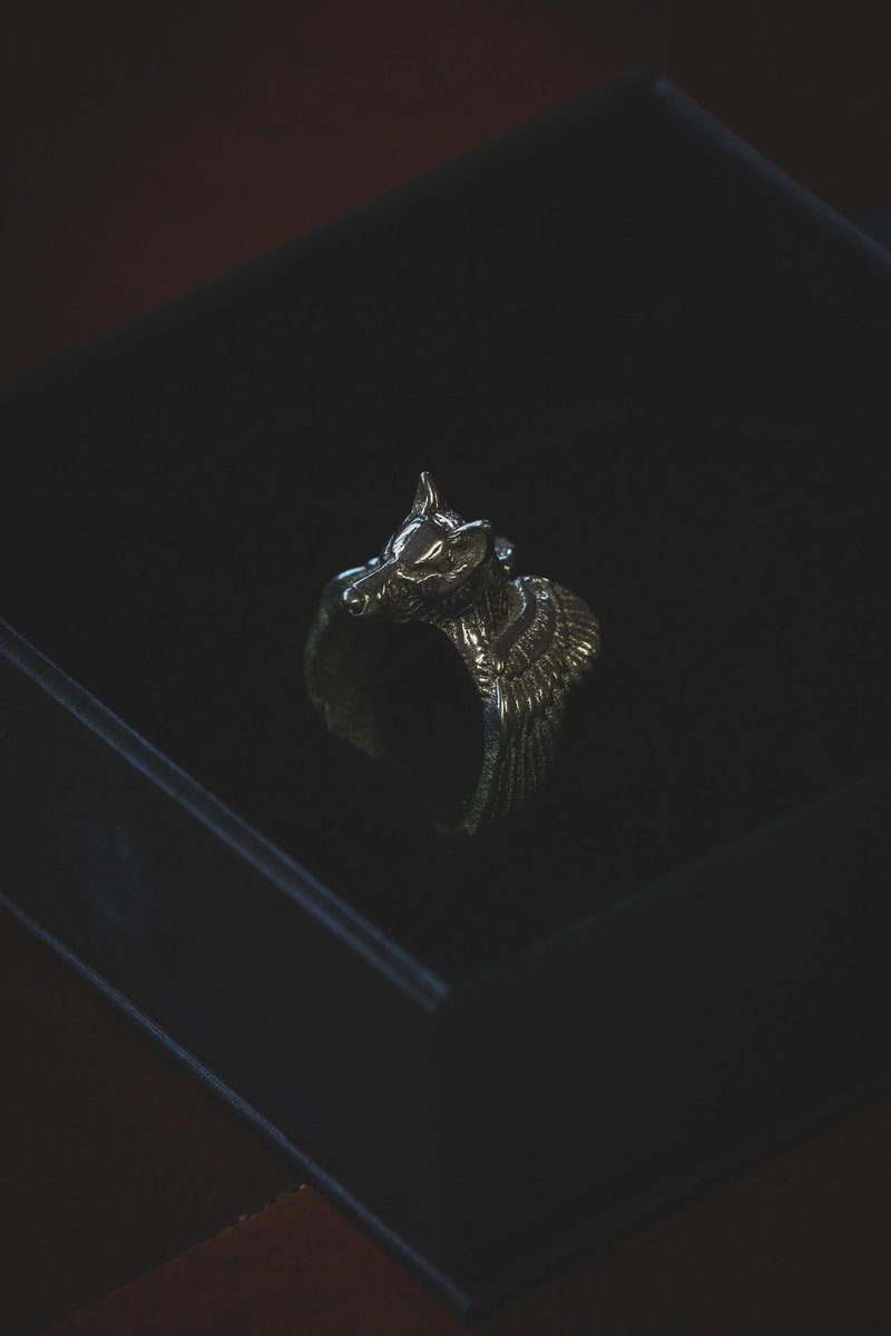 Not every kid gets a custom ring design, but with a name like Phoenix Wolf you best believe you’re getting some kick ass jewelry made. Phoenix Wolf ring in sterling silver 🐺