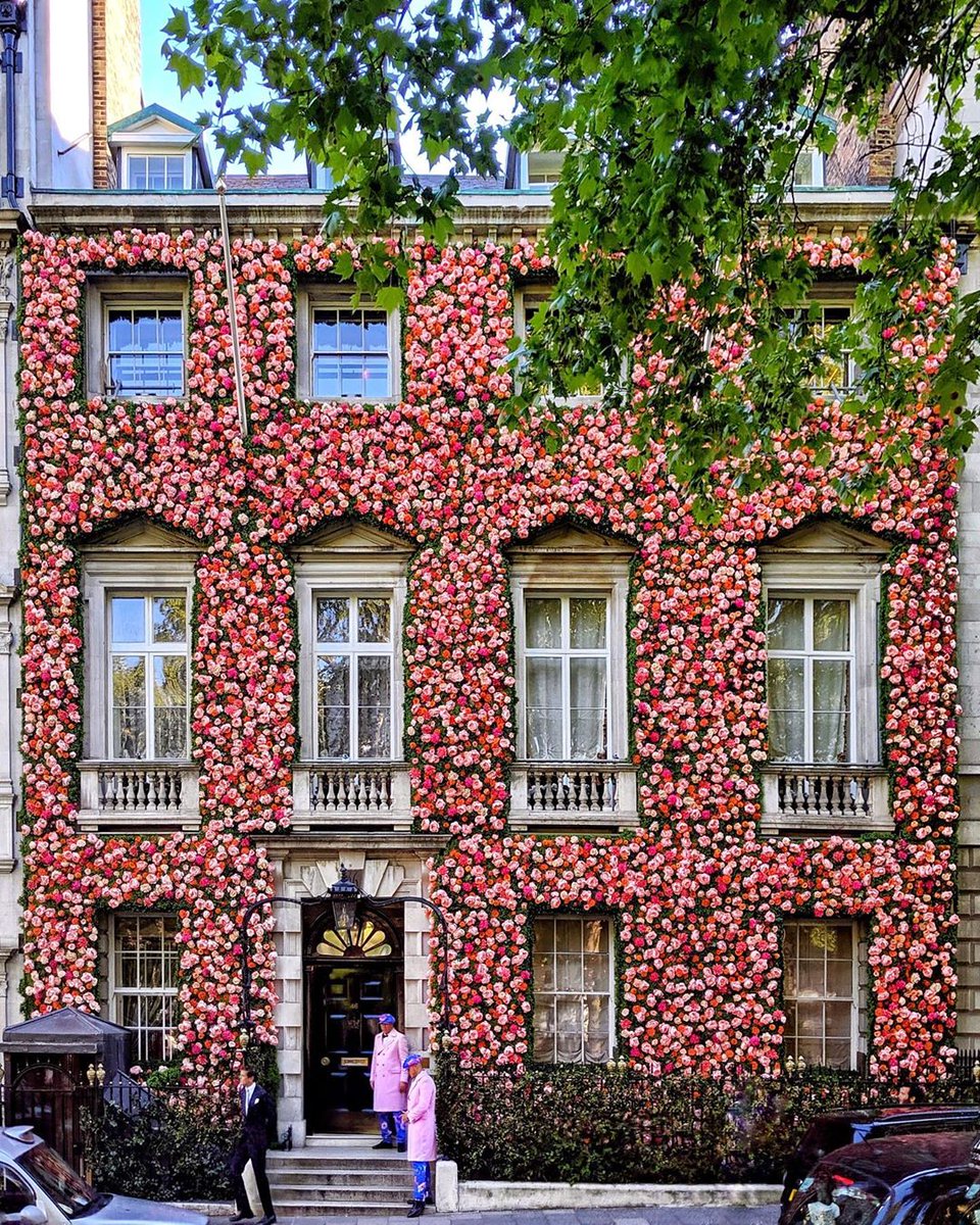 alltrippers's tweet photo. Toujours aussi spectaculaire ! 💐 #lepouvoirdesfleurs 📷 https://t.co/UAKUg0lVza https://t.co/0ubryJH6o2