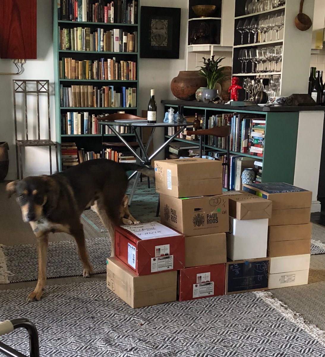 Tim James (@timjamesgrape) on Twitter photo The first delivery of wines for tasting for the next <a href="/wineonaplatter/">Platter's Wine Guide</a> guide. A bit scary to realize how many more there’ll be over the next 2-3 months. The first delivery of wines for tasting for the next <a href="/wineonaplatter/">Platter's Wine Guide</a> guide. A bit scary to realize how many more there’ll be over the next 2-3 months.