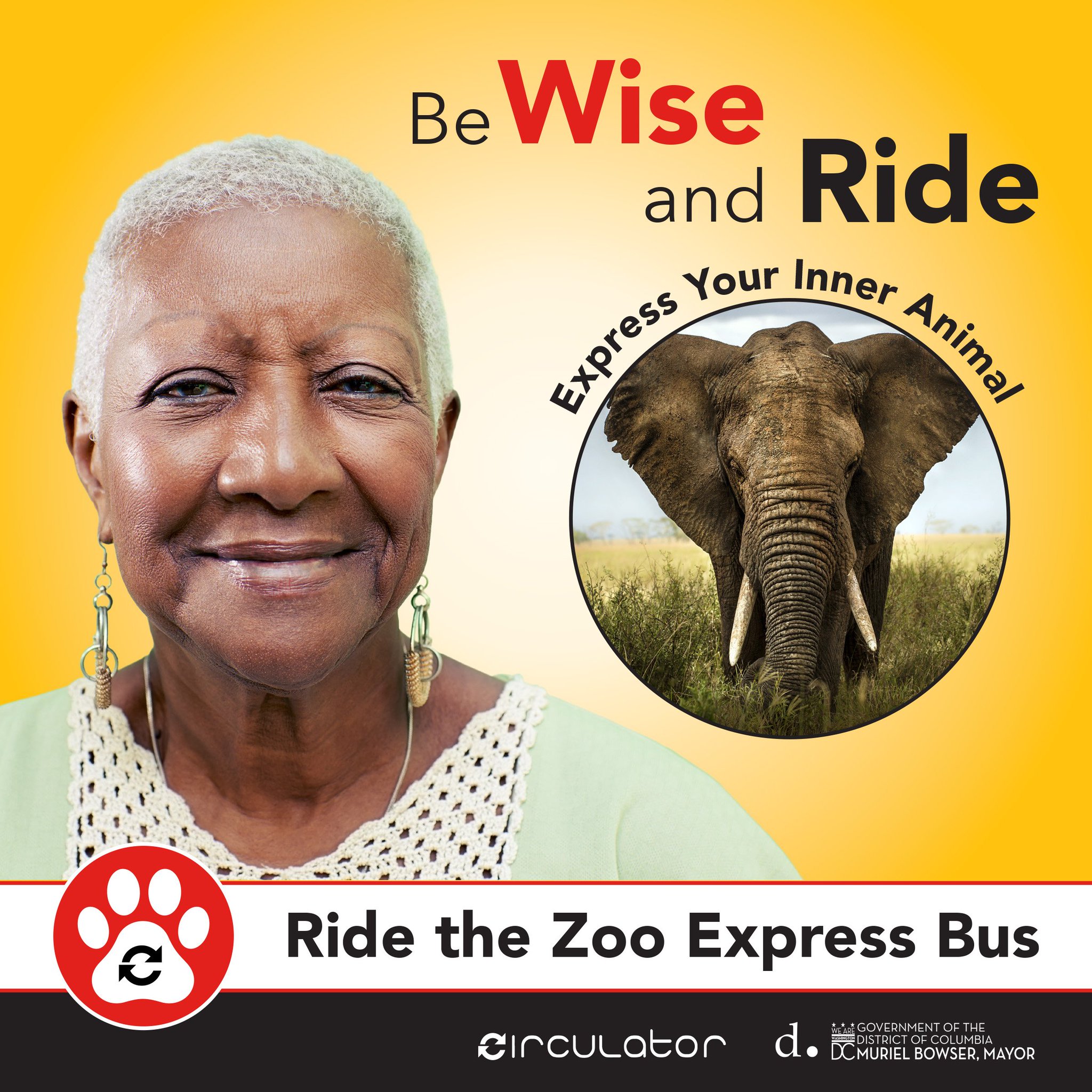 DC Circulator on Twitter "There’s something magical about Woodley Park