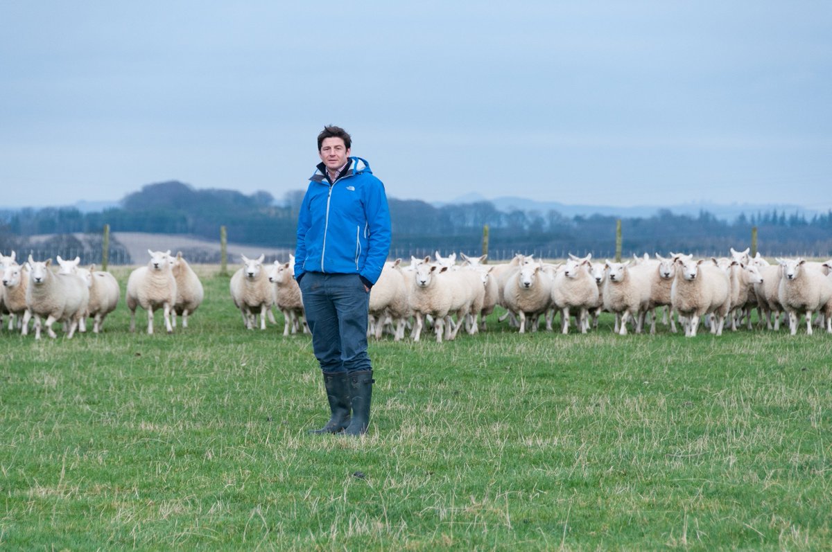 QMS (@qmscotland) on Twitter photo Packed programme at <a href="/lothiansmonitor/">LothiansMonitorFarm</a> farm meeting tomorrow: technograzing, Smartgrass, away wintering of cattle, Saughland’s lambing and calving performance, Agri-Environment Schemes & the farm’s fodder beet trial all under discussion. bit.ly/2Vzjsoc Packed programme at <a href="/lothiansmonitor/">LothiansMonitorFarm</a> farm meeting tomorrow: technograzing, Smartgrass, away wintering of cattle, Saughland’s lambing and calving performance, Agri-Environment Schemes & the farm’s fodder beet trial all under discussion. bit.ly/2Vzjsoc