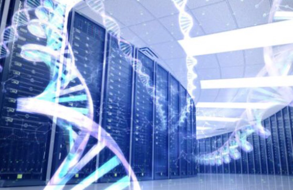 SANDirect tweet media