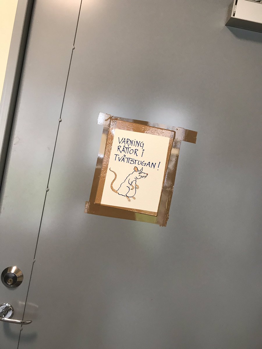 EmmaAxell's tweet photo. Vet inte vad som är värst faktiskt. Att det är råttor nere i den redan skitläskiga tvättstugan eller att någon har lagt ner tid på att verkligen måla en jävla skräckråtta på lappen? https://t.co/As2qnYKUSM