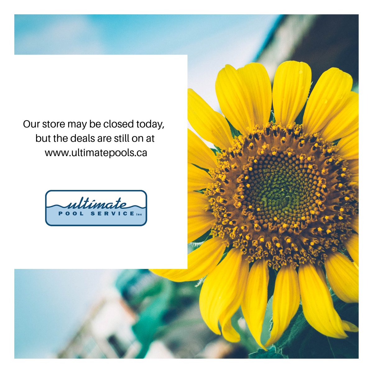 UltimatePools's tweet photo. While our physical store is closed today, we are always open at https://t.co/duFNh7HbbE. Use code MAYSAVE10 to save 10% on online chemical orders! Deal ends today!
.
.
.
#LongWeekend #Deals #Savings #VictoriaDay #UltimatePools #UltimatePoolService https://t.co/TwsjrdPXxu