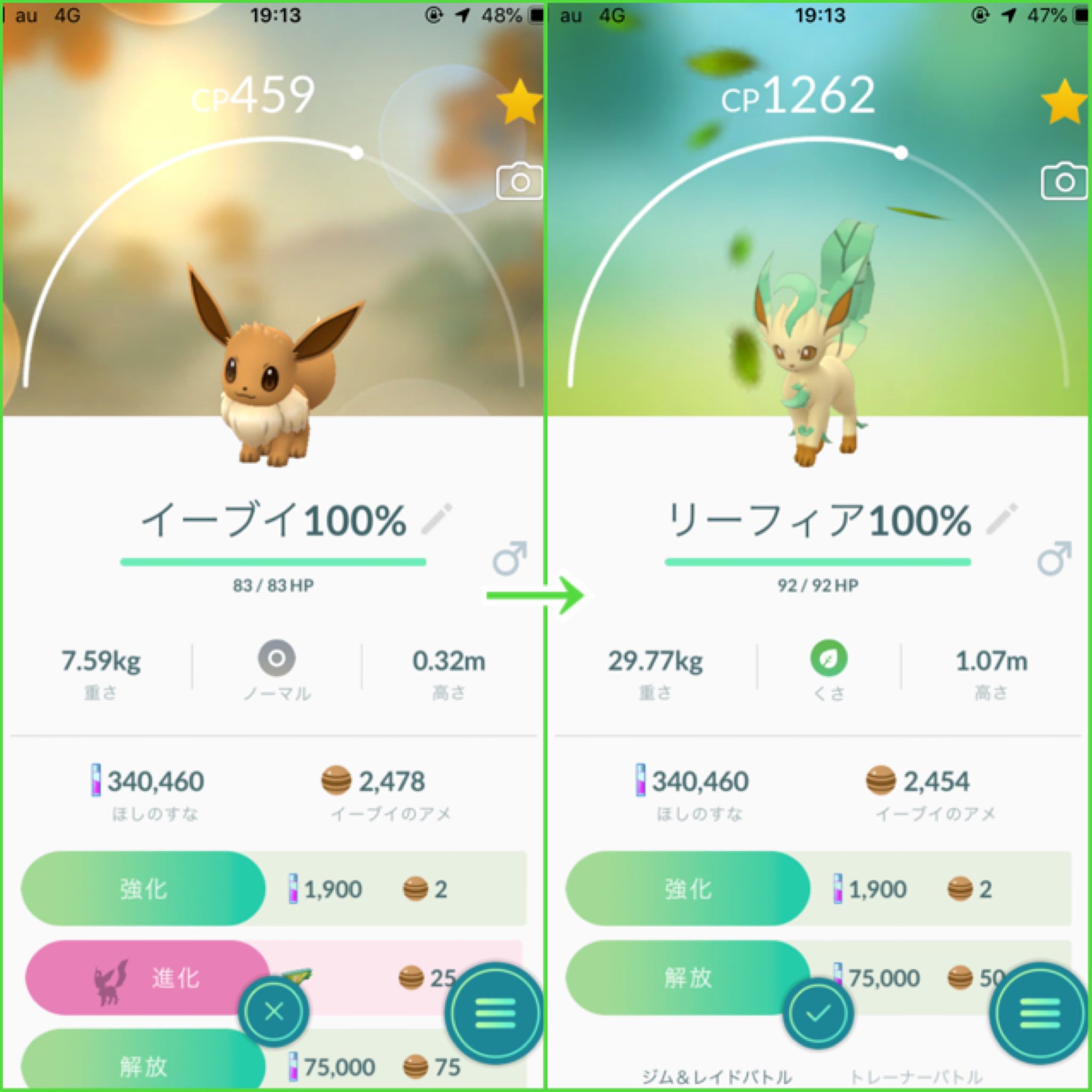 れおぽん 先月こっそりタスクからgetしていた個体値maxイーブイちゃんをリーフィアへ進化 ついでにリーフィア艦隊分進化させるつもりが進化させすぎちゃってた ポケモンgo ポケgo Pokemongo イーブイ イーブイ100 リーフィア