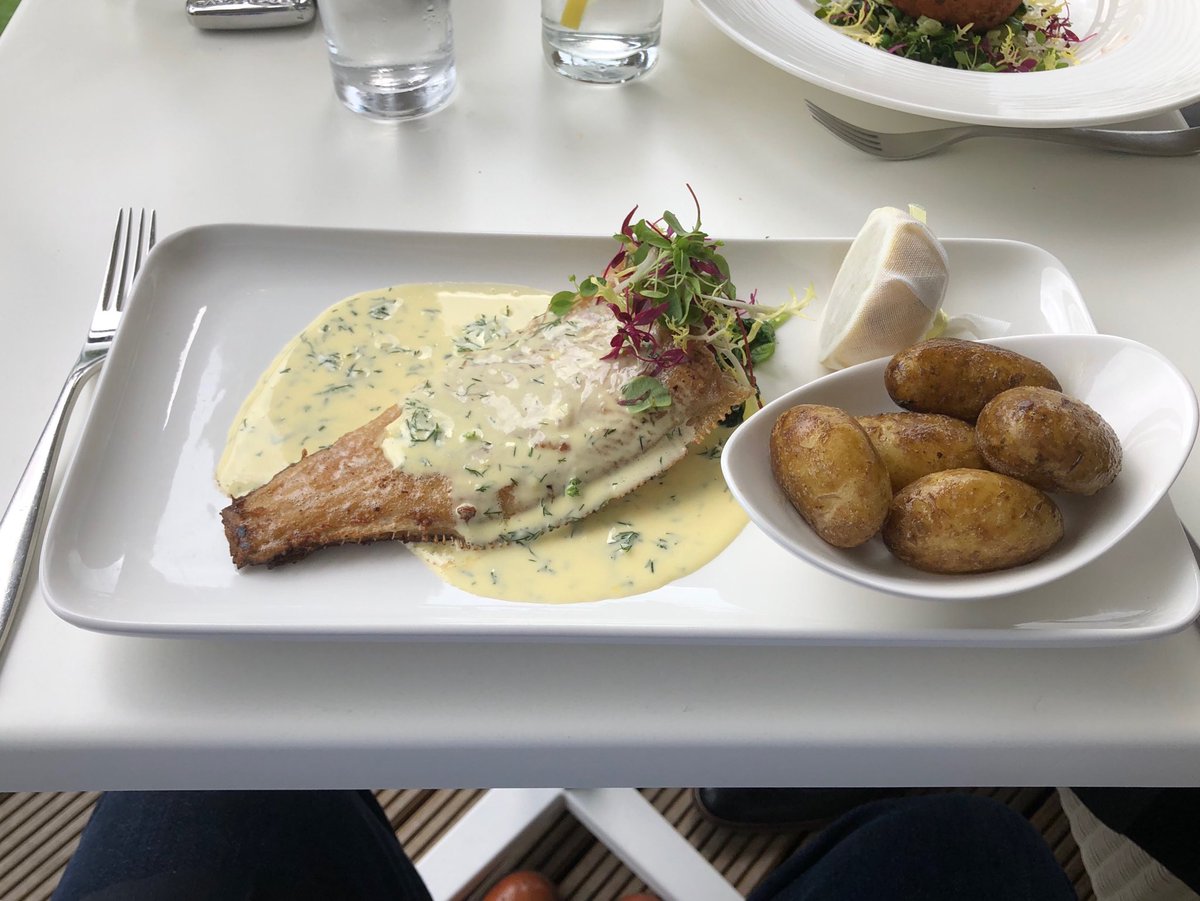 MatthewsMike1's tweet photo. Thank you to a kind friend that treat me to a fantastic lunch at ⁦@RockliffeHall⁩ ⁦@NewHallChef⁩. Scallops for appetiser &amp; Dover Sole for main - was going to have the salad but absolutely no self control with food quality like this in front of me 😂😂 https://t.co/bNSj90iKql
