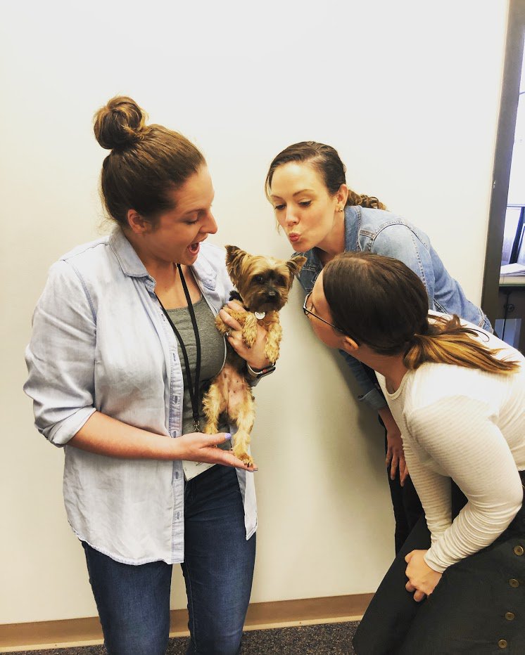 Strategy+Innovation tweet media