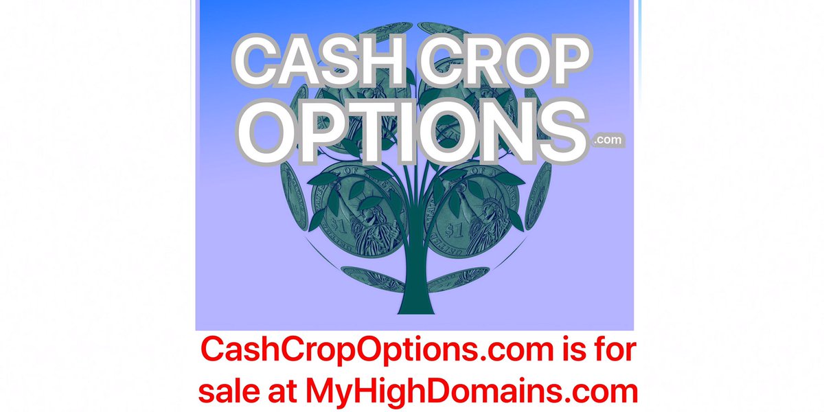 MyHighDomains's tweet photo. https://t.co/Wamsdw4BCk is for sale @ImmoralishMe . #stockoptions #cashcrops #stocktraders #investmentbanking #stockinvestmentcompanies #investmentfirms #cannabisbusiness #marijuanabusiness #cannabisinvestors #cannabis #marijuanainvestments #marijuana #cbd #farming #hempcrops https://t.co/WICF0aTYrY