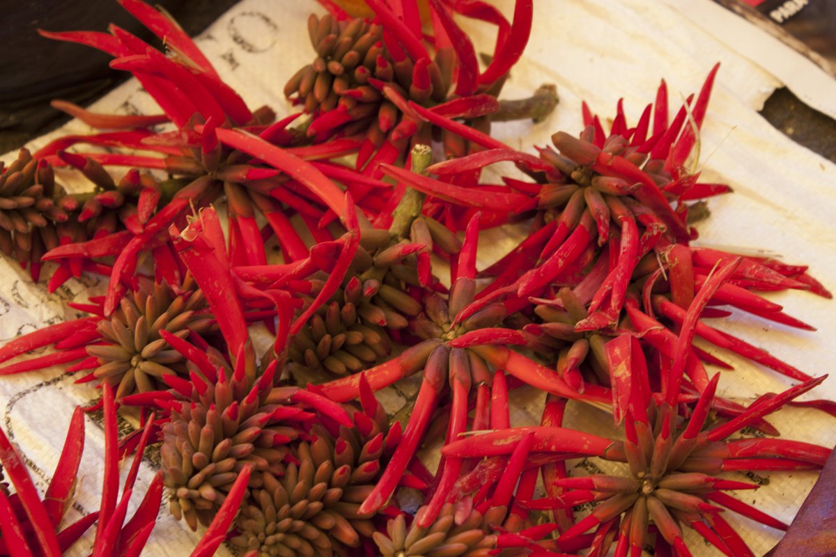 Ya se imaginan donde andamos, verdad?  Les deseamos una gran semana!  #SaludosDesdeMetepec #FelizLunes #MetepecMágico